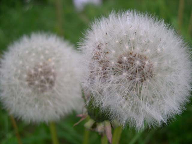 DSCN1885