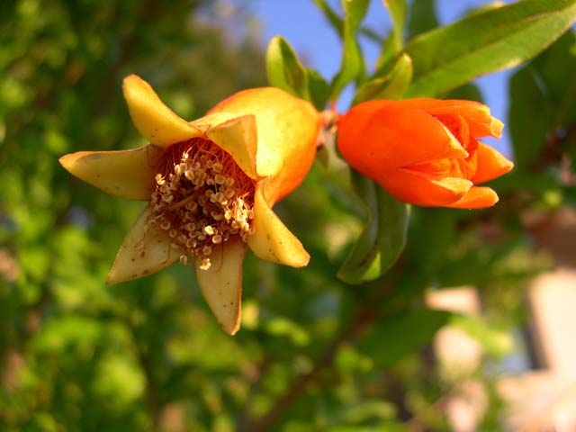 DSCN1939
