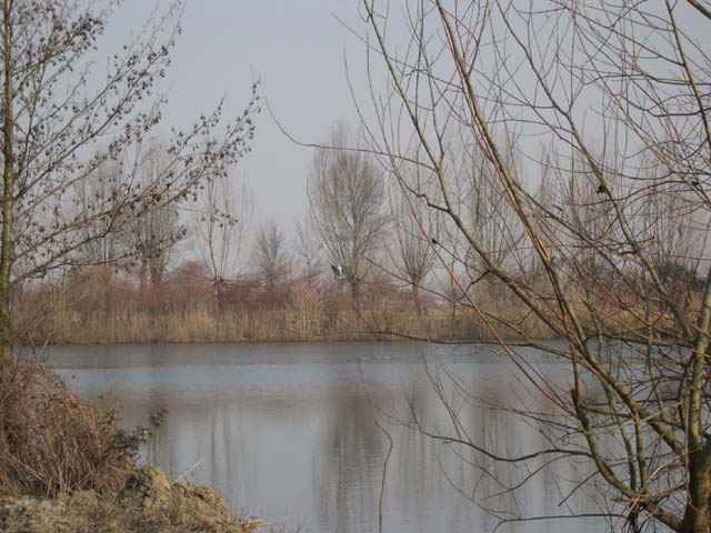 DSCN1095
